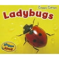 thumbnail image 1 of Coccinelles, 1 of 1