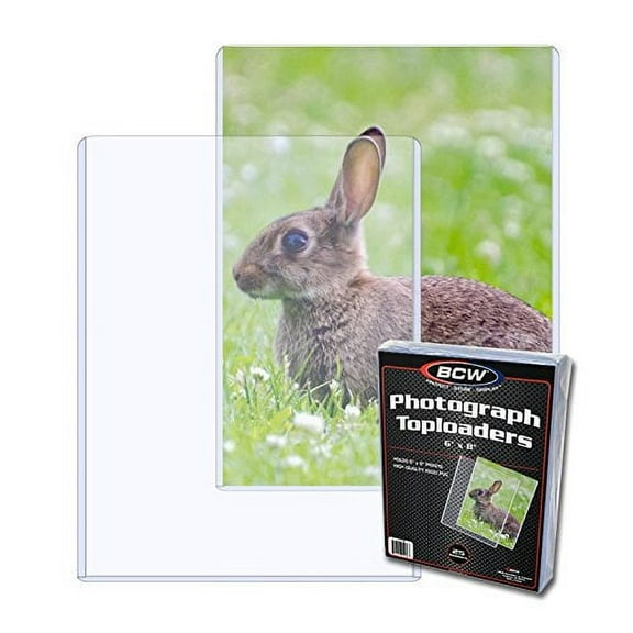 Topload Holder (25-Pack), 6x8"