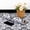 White 1, variant on Abyssaly Peel and Stick Vinyl Flooring Tile, 15.7" x 157.5", Self-Adhesive Black, Gray and White Flower Design Tile for Kitchen Dining Bedroom Interior Home Decor