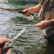 thumbnail image 1 of Alicates de pesca multifuncionales de punta larga, alicates de acero inoxidable para anzuelos con cordón, alicates de pesca profesionales para agua dulce y salada, 1 of 7