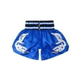 thumbnail image 4 of Sinleey Kids Boy Muay Thai Boxing Shorts Boxing Trunks Fight Training Shorts Grappling Martial Arts Blue XL/170, 4 of 8