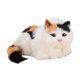 thumbnail image 3 of Juguete de peluche de gato decorativo para acurrucarse y cómodo para decorar el hogar. multicolor, 3 of 9