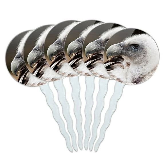 Vulture Bird of Prey Scavenger Cupcake Picks Toppers - Set of 6