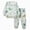 T046-Green, variant on NOLDARES Boys Sweatsuits 2 Piece Outfits Kids Long Sleeve Hoodie Jogger Pants Set, Back to School Clothes Fall Winter Outfits(T046-Green)