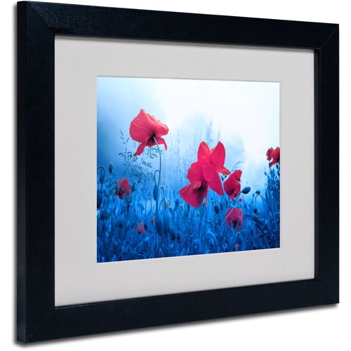 Trademark Fine Art "Jam for Poppies" Canvas Art by Philippe Sainte-Laudy, Black Frame