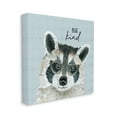 thumbnail image 3 of Stupell Be Kind Happy Raccoon Patterned Animals & Insects Painting Gallery Wrapped Canvas Print Wall Art, 3 of 7