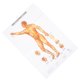 thumbnail image 4 of Gráfico De Pared De Puntos De Acupuntura Masculina, Referencia Comparativa Detallada Mapa De Puntos De Acupuntura Masculina Universal Detalles De Registro Para Salones De Masaje Ccdes Otros, 4 of 8
