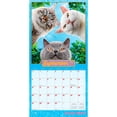 thumbnail image 4 of Avanti Cranky Kitties OFFICIAL | 2026 12x24" (Hanging) Wall Calendar | Plastic-Free, 4 of 9