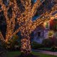 thumbnail image 4 of Juego de luces de Navidad de 100 piezas de mini luces transparentes para árbol de Navidad para interiores y exteriores, decoración de Navidad, boda, día de San, 4 of 4