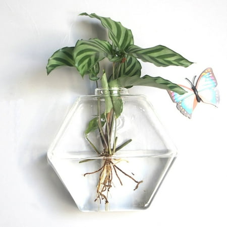 Wall Hanging Hydroponic Glass Vase Transparent Fish Tank Green
