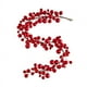 thumbnail image 1 of Decoración navideña roja de ratán, guirnalda roja, adorno, guirnalda, guirnalda, árbol de Navidad, decoraciones rojas, guirnaldas, bolas brillantes grandes, decoración navideña, hogar y cocina, elemen, 1 of 1