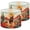 Color 3, variant on Lampshades 2 Pack Cowboy Riding Horse Desert Sunset Cactus Western 13"x13"x10" Light Shade for Table Lamps Floor Lamp Shades Lampshade Replacement Easy Assembly