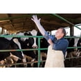 thumbnail image 5 of 50 Pack Veterinary Insemination Gloves,33.5In Disposable Clear Extra Long Shoulder Gloves for Veterinarians and Cleaning, 5 of 6