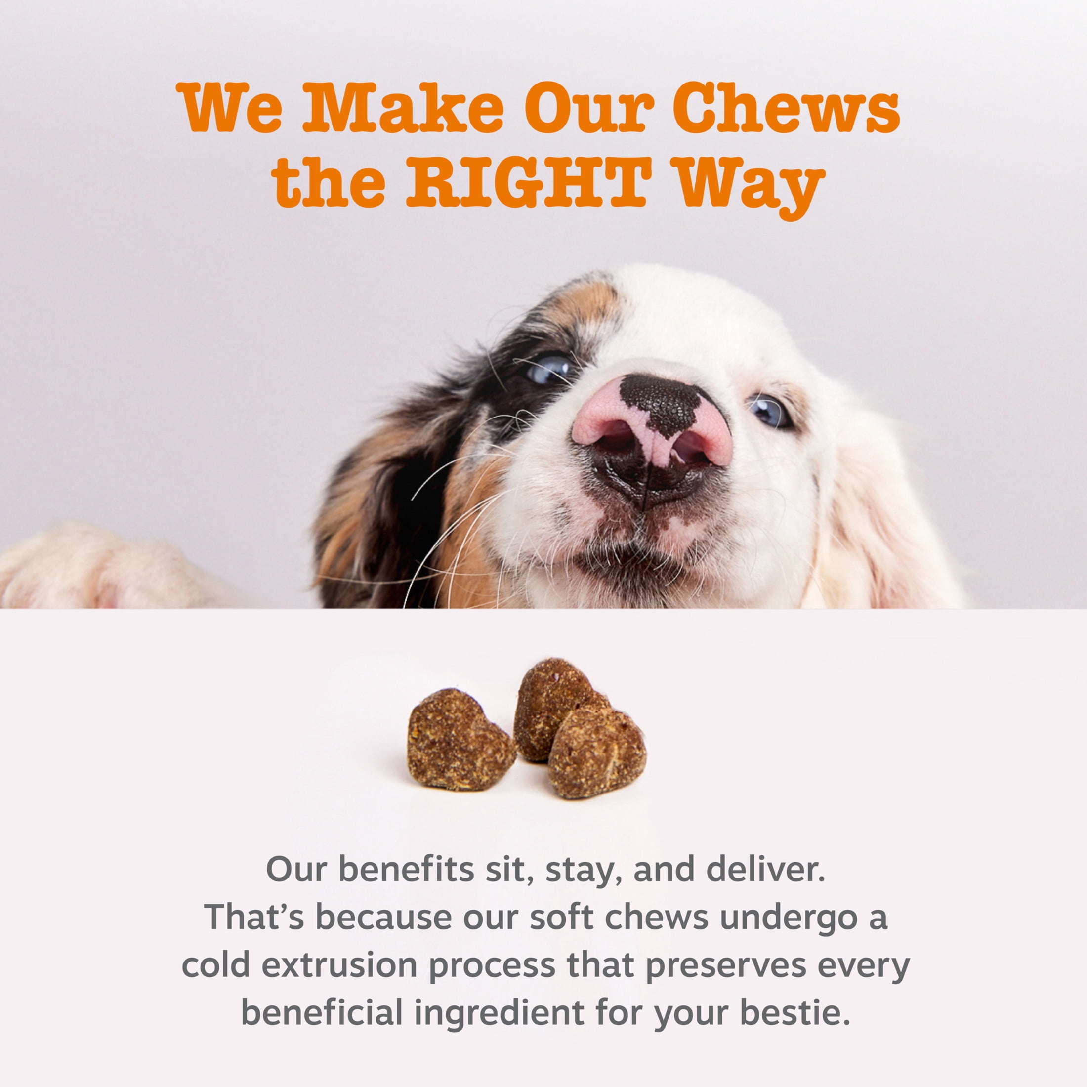 Zesty Paws Senior Advanced Probiotic Bites for Dogs Chicken Flavor, 90 Count