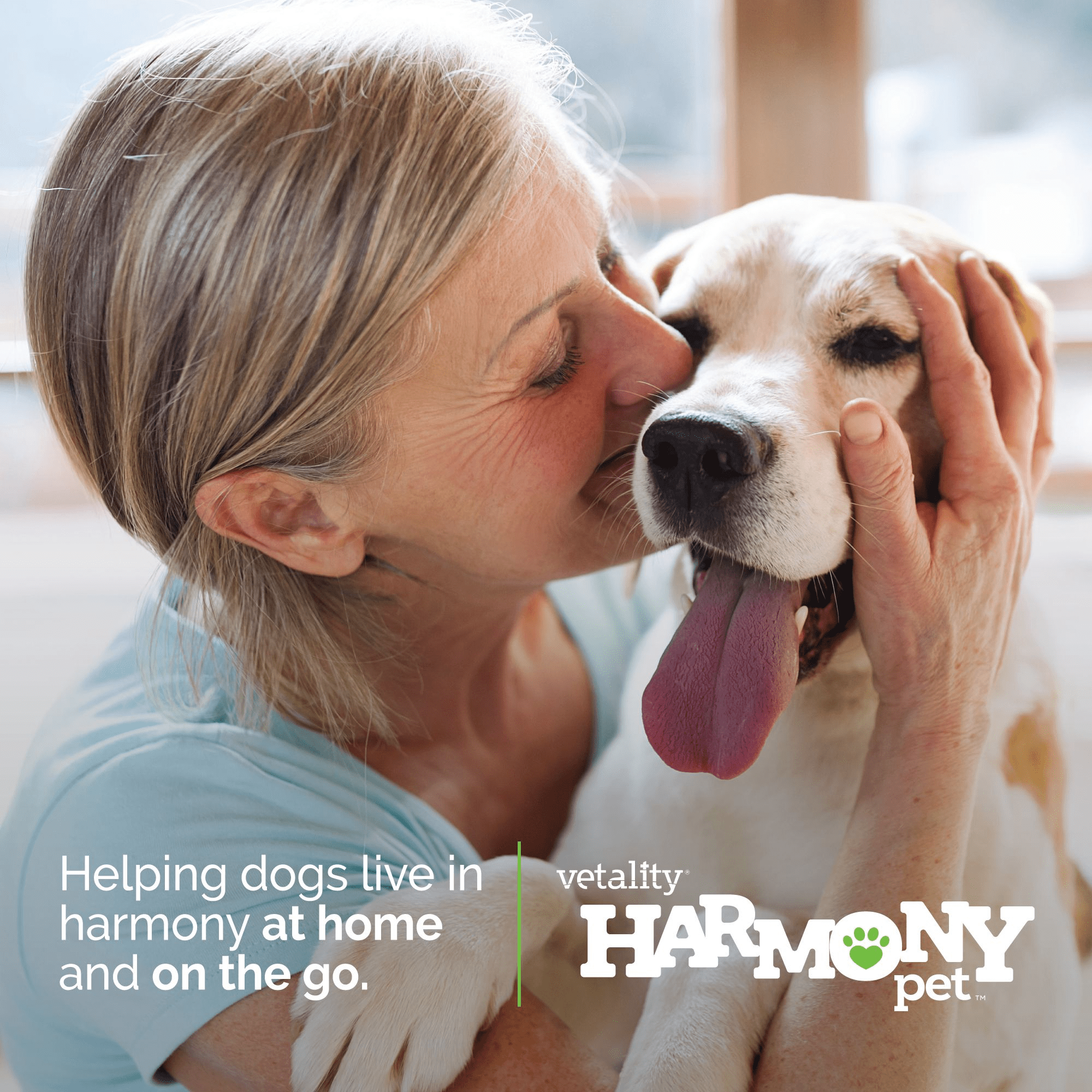 Vetality Harmony Pet Calming Home Diffuser for Dogs