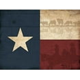 thumbnail image 2 of Grey, Jace 18x15 Black Ornate Wood Framed with Double Matting Museum Art Print Titled - Texas Flag, 2 of 4