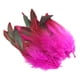 thumbnail image 1 of 50 piezas de Plumas decorativas BLESIY Rosa roja para manualidades, 1 of 8