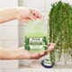 thumbnail image 5 of Aceites esenciales de eucalipto y menta verde Sugar Scrub Dr. Teal's 570 ml, 5 of 8
