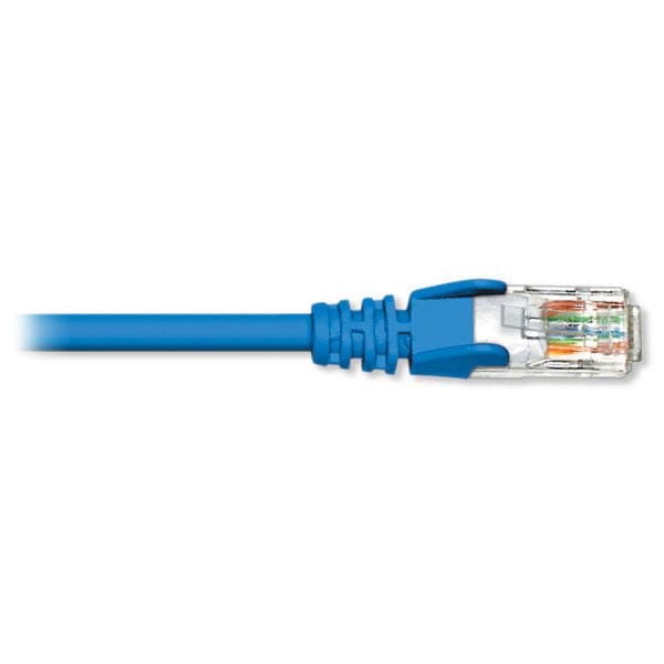 Premium Retail Cat6 Patch Cable - 75 pieds