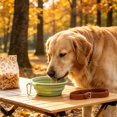 thumbnail image 6 of Collapsible Dog Bowl Silicone, 2 Pack Pet Travel Bowls | Foldable Water Feeder Dish for Small to Large Dogs Cat Walking Hiking Camping, Portable Dog Bowl, 6 of 6
