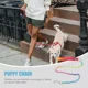 thumbnail image 5 of Correa Resistente Con Cadena Para Perros Y Mascotas, 5 of 8