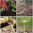 thumbnail image 4 of 4Pcs Metal Plant Trellis Vine Climbing Support Garden Plant Trellis Vine Climbing Trellis Plants Climb Rack, 4 of 9