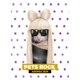 thumbnail image 1 of Agenda Pets Rock 2024 Missy Blanca VR 7798083707802, 1 of 3
