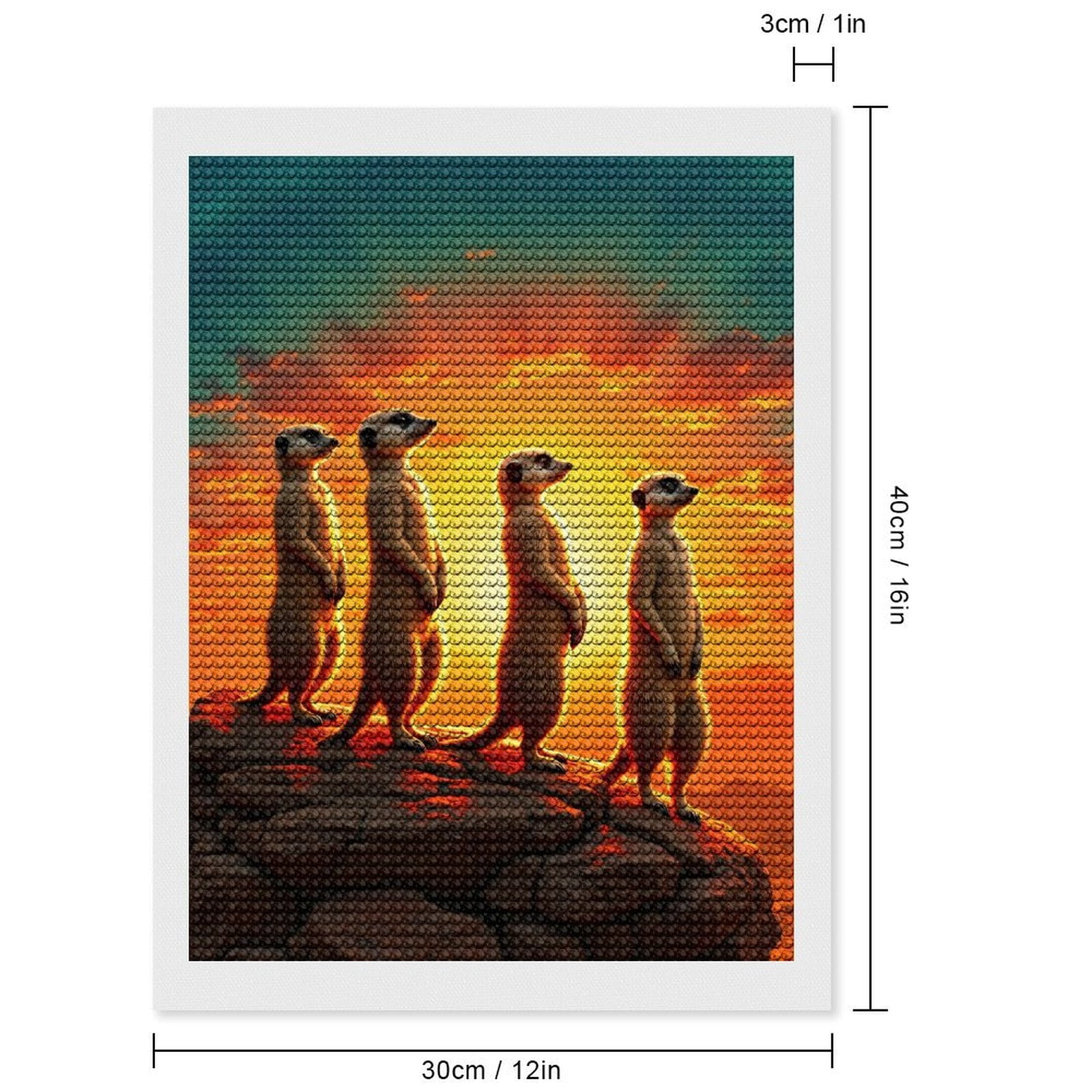 Diamond Art Kits for Adults - Meerkats Sunset Rock Formation 5d Diamond Painting for Adults, Diamond Art for Adults Beginners, Frameless Diamond Painting Kits for Adults for Home Wall Decor