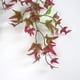 thumbnail image 5 of Piezas rojas de hiedra Artificial, plantas de vid colgantes falsas para boda, pared interior y exterior, enrejado de valla de balcón JM, 5 of 5