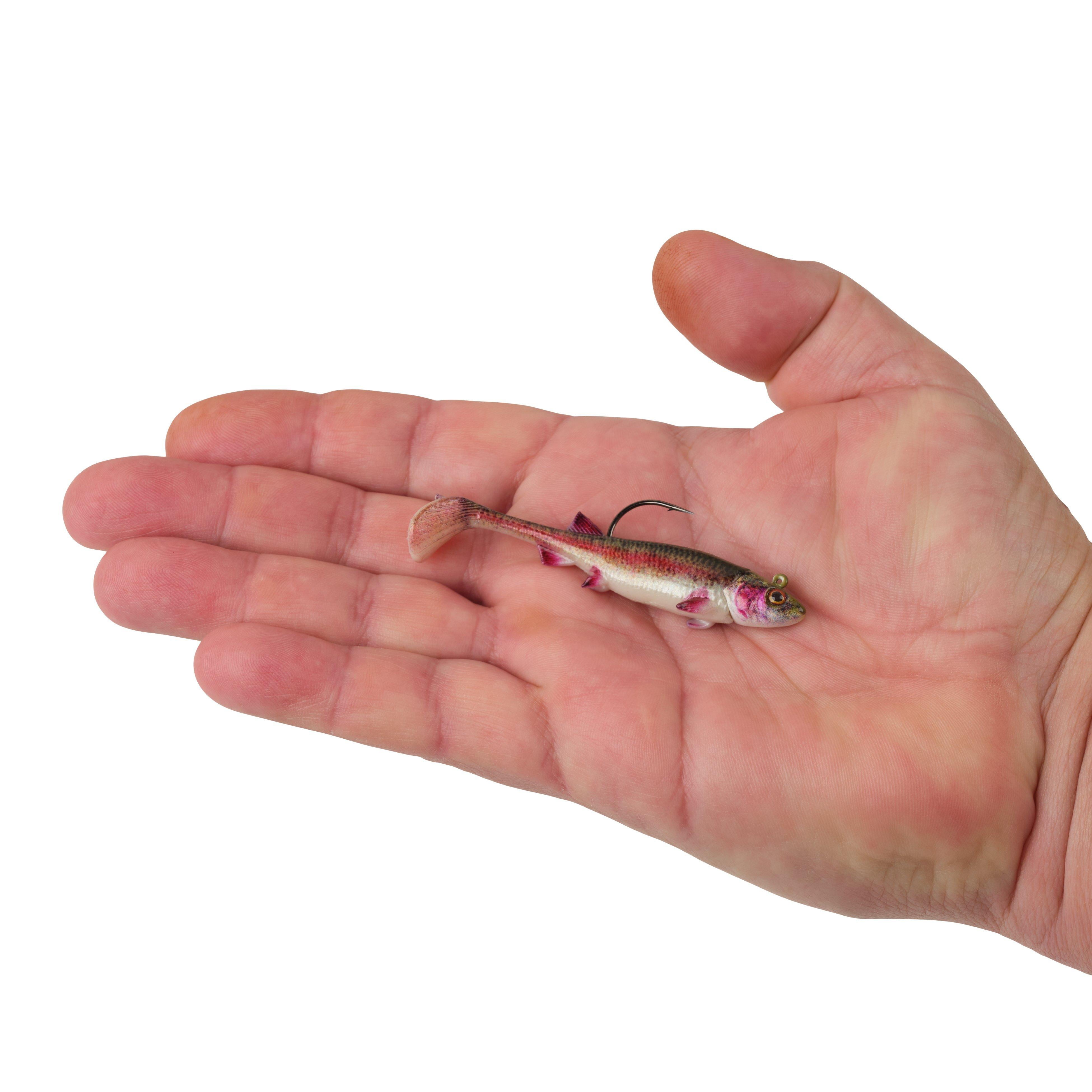 Berkley PowerBait® Minnotator, 3 in, HD Rainbow Trout