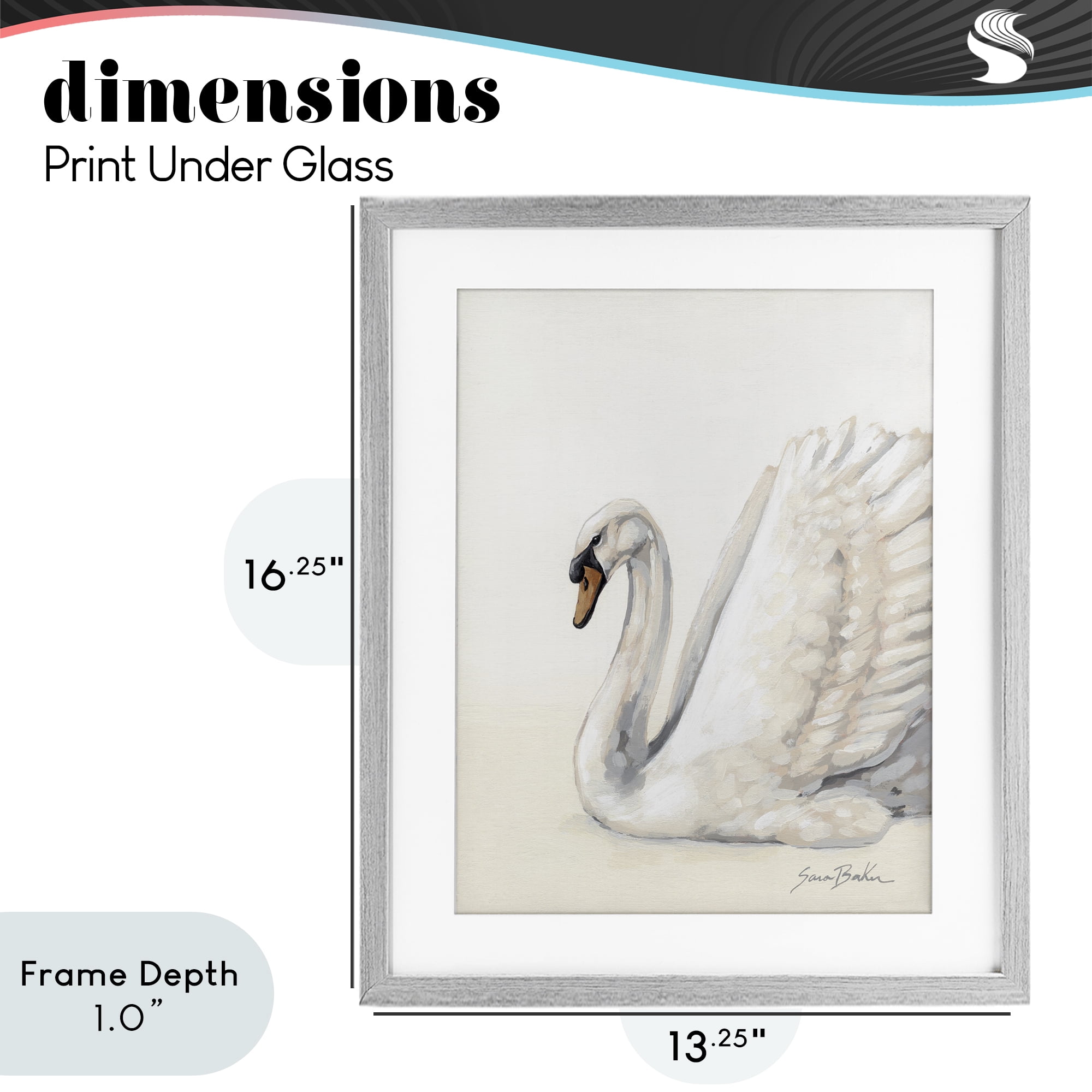 Stupell Industries White Swan in Repose Gray Framed Print Under Glass, design by Sara Baker