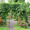 thumbnail image 5 of NAIZEA Garden Arch Trellis, Metal Plant Support Structure for Climbing Vegetables, Fruits, Flowers, Outdoor Yard, 5 of 10
