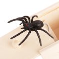 thumbnail image 4 of Divertida Caja Juguete Broma Miedo Araña Regalo Mordaza, 4 of 9