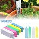 thumbnail image 2 of LYD 100 etiquetas de plástico para plantas de 4 pulgadas, etiquetas impermeables para plantas para plántulas, etiquetas para jardinería vegetal LYD 1039257, 2 of 2