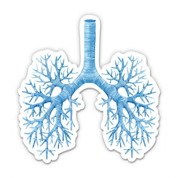 Lungs Watercolor Anatomy - 3" Vinyl Sticker - For Car Laptop I-Pad Phone Helmet Hard Hat - Waterproof Decal