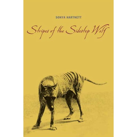 Pre-Owned Stripes of the Sidestep Wolf (Hardcover) by Sonya Hartnett
