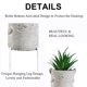 thumbnail image 3 of Decoración del hogar del escritorio de entrada, marco de pared artificial de plantas artificiales en maceta de expresión, 3 of 6