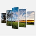thumbnail image 2 of Green Pasture under Blue Sky - Extra Large Landscape Canvas Art Print, 2 of 3