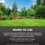 Spectracide Immunox Fungus Plus Insect Control for Lawns, 32 Ounces