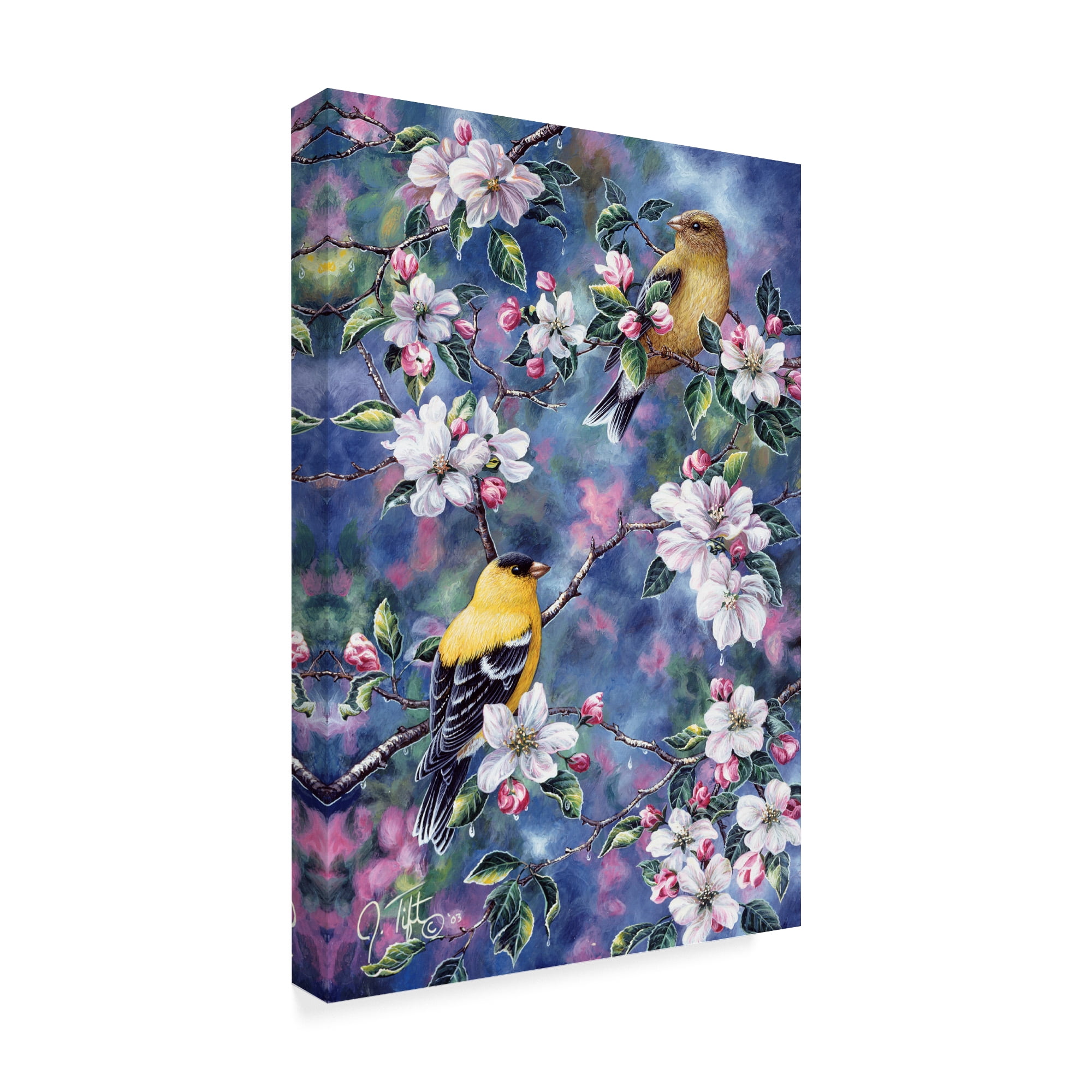 Trademark Fine Art 'Gold Finch And Blossoms' Canvas Art by Jeff Tift
