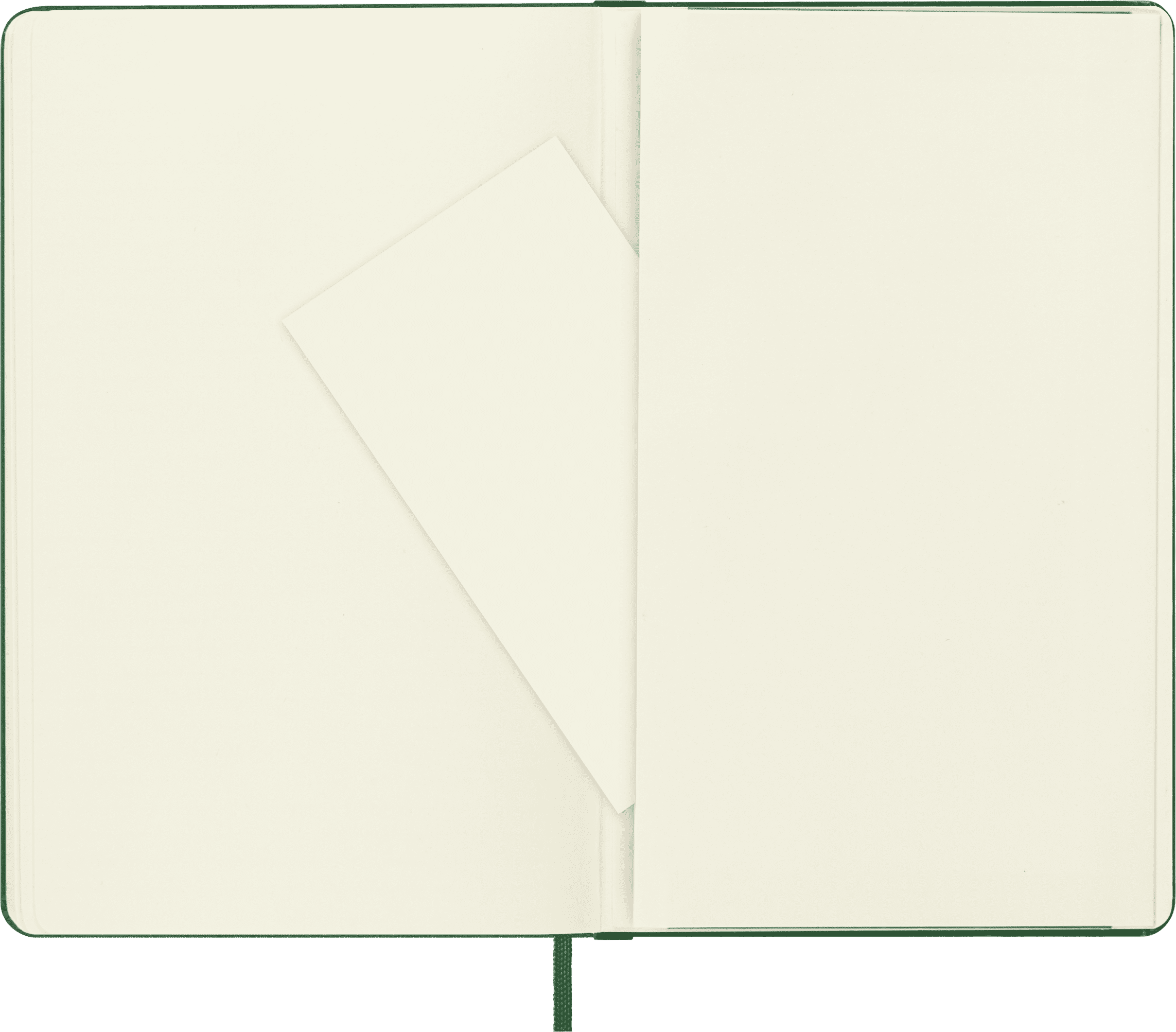 Moleskine Classic Notebook, Hard Cover, Large (5" x 8.25"), Plain, Myrtle Green