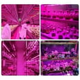 thumbnail image 4 of LED Grow Light Full Spectrum 5V USB Grow Light Strip 2835 LED Phyto Lamps for Plants Greenhouse Hydroponic Growing 100cm, 4 of 10