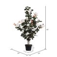 thumbnail image 3 of Vickerman TA181811 Plante de Rose Blanche de 45 Po en Pot, 3 of 3