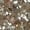 Multi-color, variant on Sam Edelman Girls Felicia Mini Ballet Flat Big Kid 8-12 Years 3 Big Kid Champagne