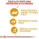 thumbnail image 4 of Alimento Húmedo Gato Adulto Intense Beauty 85g Royal Canin, 4 of 4