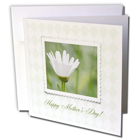 3dRose Ox Eyed Flower in Frame on Pale Green Diamond Design, Happy Mothers Day - Greeting Card, 6 by