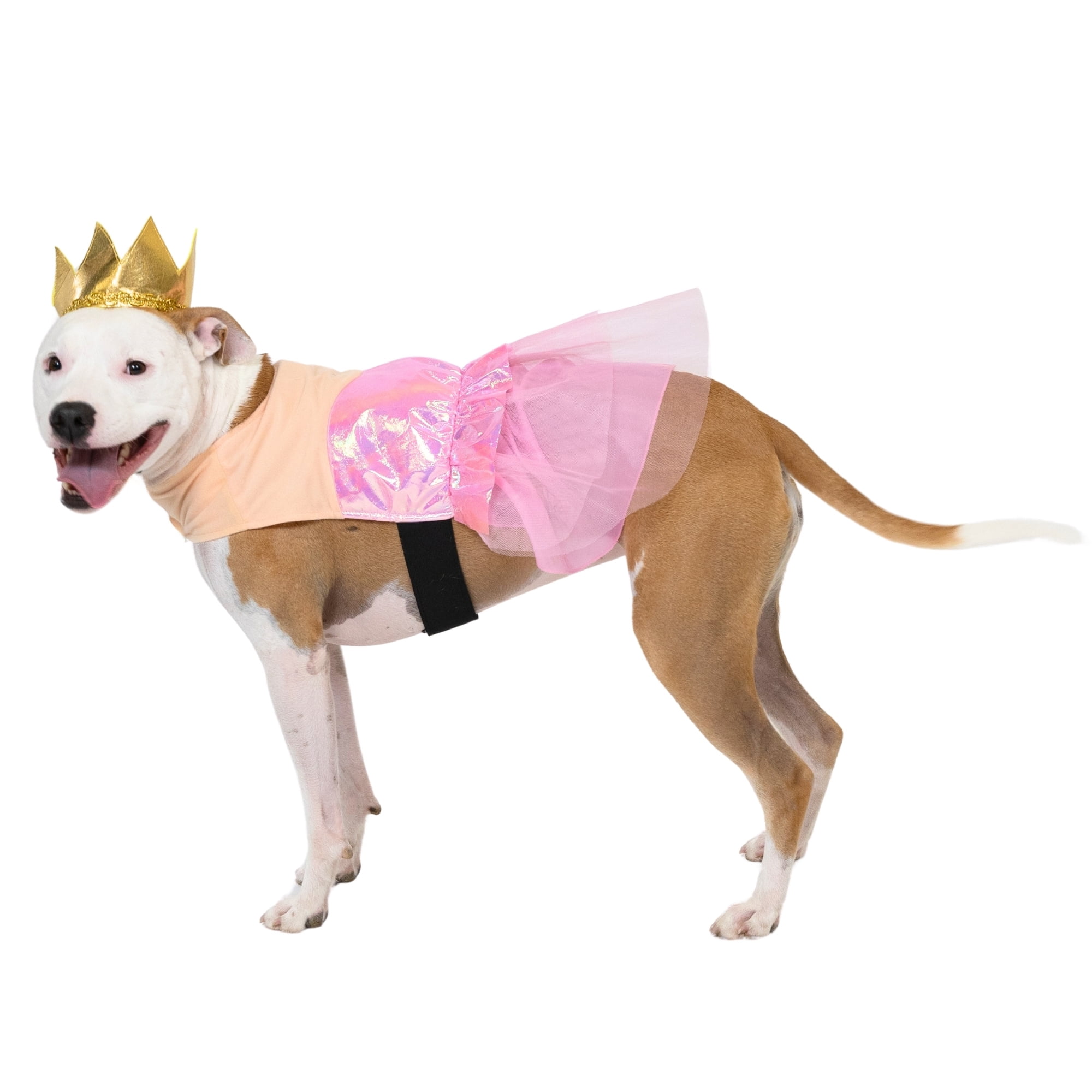 Vibrant Life Halloween Good Witch Costume for Dogs, Pink and Gold, Medium