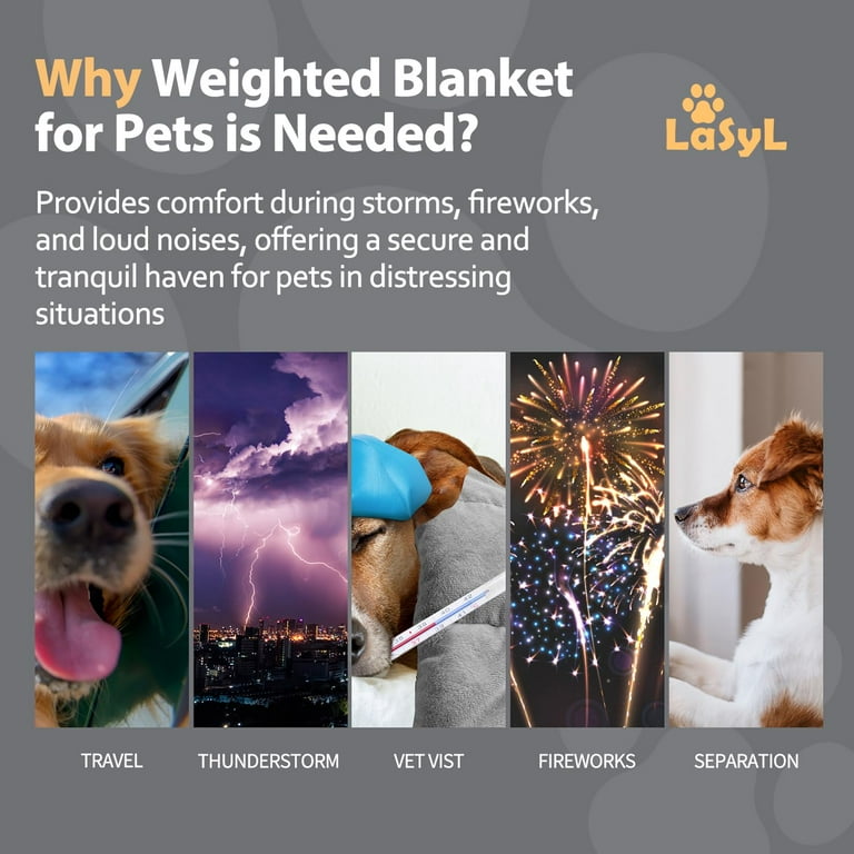 Waterproof Blanket LaSyL Weighted Blanket For Pets Thunder