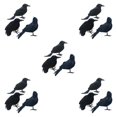 thumbnail image 2 of Shengyu Halloween Party Decoration - Clear Texture And Festive Ambiance Simulation Crow three-piece 5Set, 2 of 6