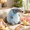 Blue, variant on Purple Anteater Plush Toy Soft Stuffed Animal Cute Wildlife Inspired Doll Home Room Decoration Gift Collection Present For Animal Lovers Indoor Companion Personal Collection